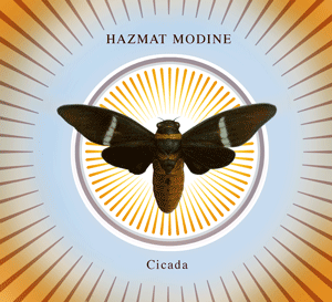 Cicada coverart with painting by Wade Schuman
