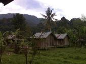View of cabins in the rainforest in Sumatra